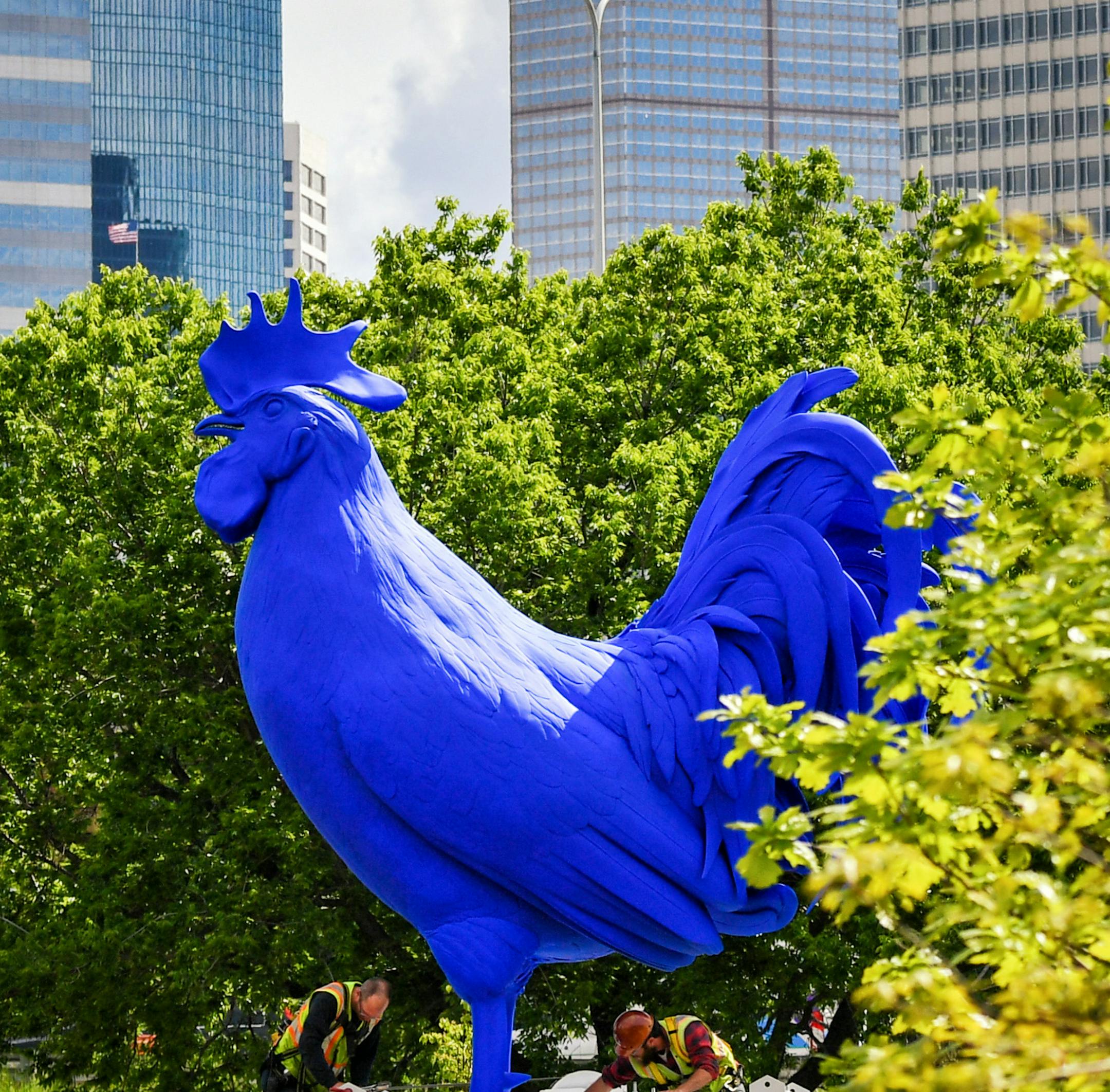 Walker Art Center installed Hahn/Cock by artist Katharina Fritsch, the ultramarine blue rooster that stands over 20 feet tall in the reconstructed Minneapolis Sculpture Garden. Crews lifted it up to its pedestal Thursday. ] GLEN STUBBE &#xef; glen.stubbe@startribune.com Thursday May 25, 2017 The Walker Art Center invites you behind the scenes to film the crane installation of Hahn/Cock by artist Katharina Fritsch, the ultramarine blue rooster that will stand over 20 feet tall in the reconstructe