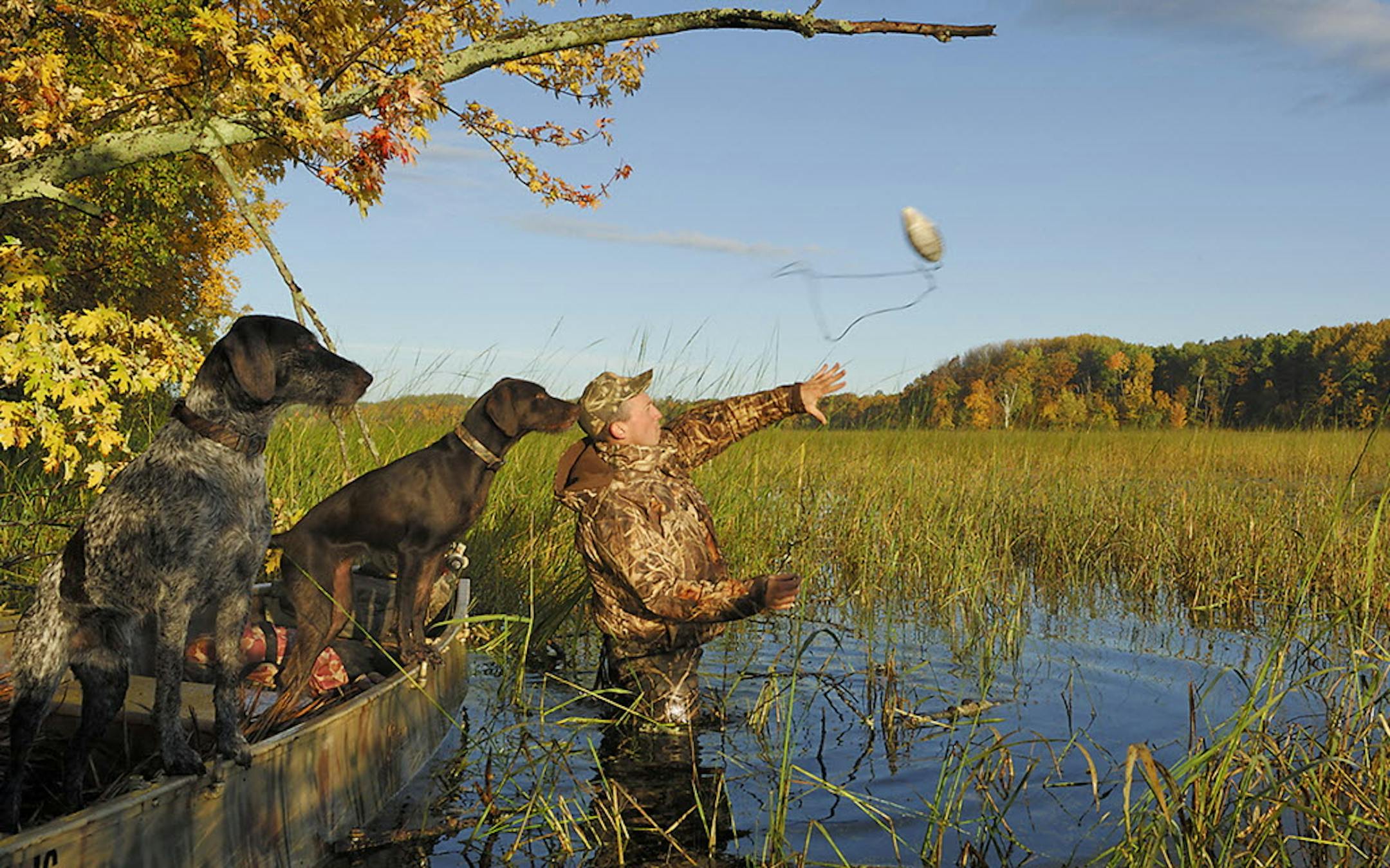 Duck hunting was excellent along the 2,000-acre parcel that Crow Wing County, with the help of the Trust for Public Land and the Lessard-Sams Outdoor Heritage Council, was considering purchasing to protect forever.