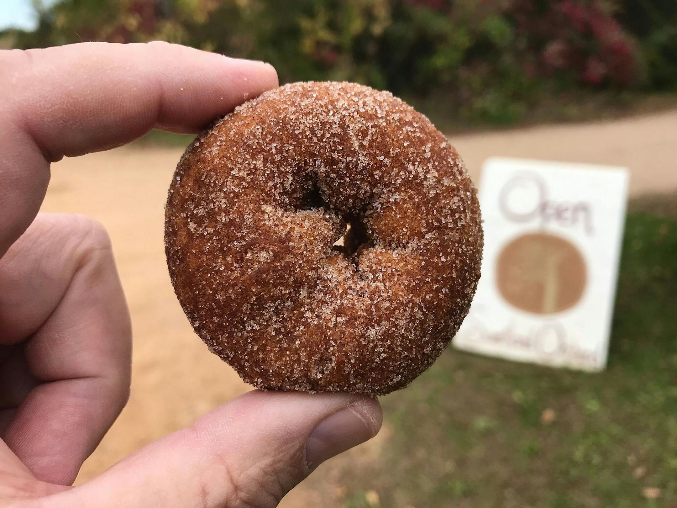 Apple cider doughnut from Sweetland Orchard.