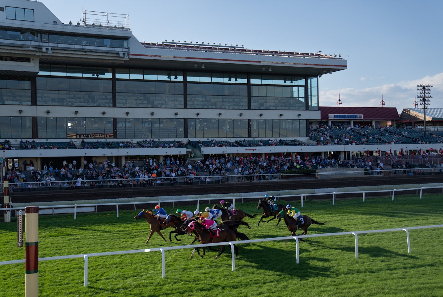 Bob Lothenbach's horses dominate in Festival of Champions