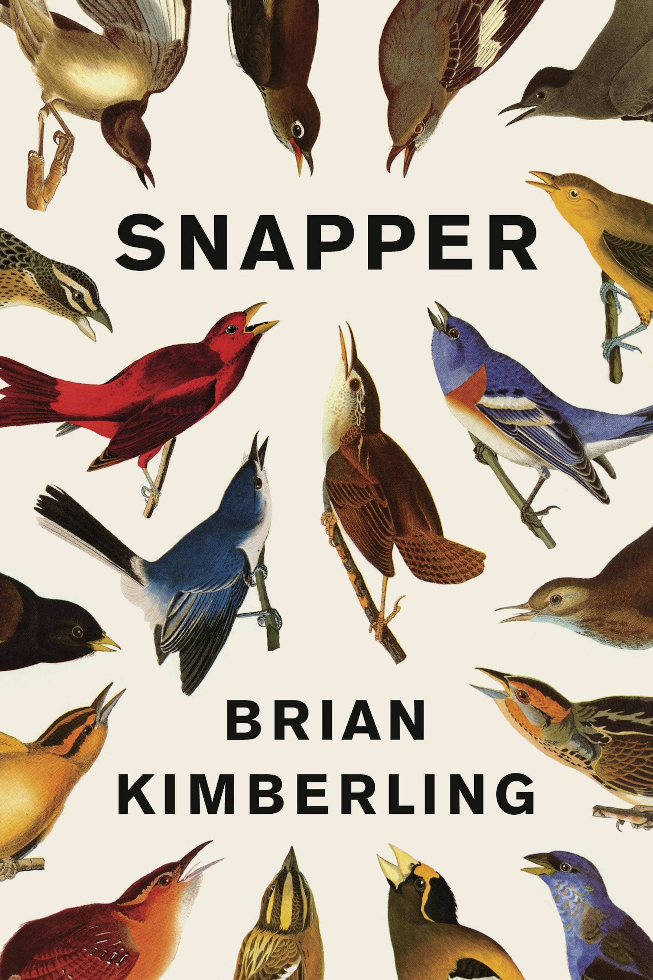 "Snapper," by Brian Kimberling.