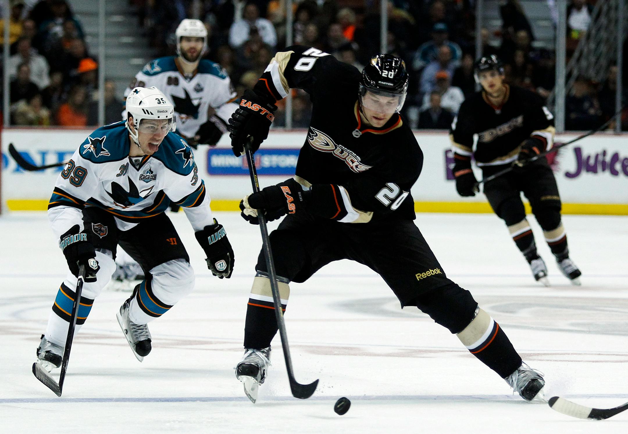 Center David Steckel, shown playing for Anaheim last year, will join the Wild for training camp on a tryout basis.