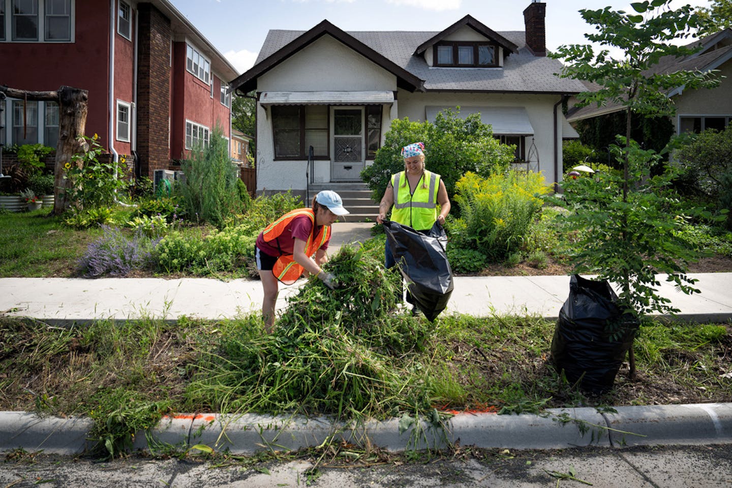 Cali Garzon, left, and Neva White of Spark-Y Youth Action Labs are opart of a group contracted by the city to cut weeds from the trench part of the gardens along Grand Ave Thursday, Aug. 17, 2023 Minneapolis, Minn. Last year the city built rain gardens — boulevard trenches with native plantings — along Grand Ave. in south Minneapolis between 48th and Lake Street as part of street reconstruction. They are the first street-side rain gardens that have been attempted here, but they'll be coming to more reconstructions across the city. ] GLEN STUBBE • glen.stubbe@startribune.com