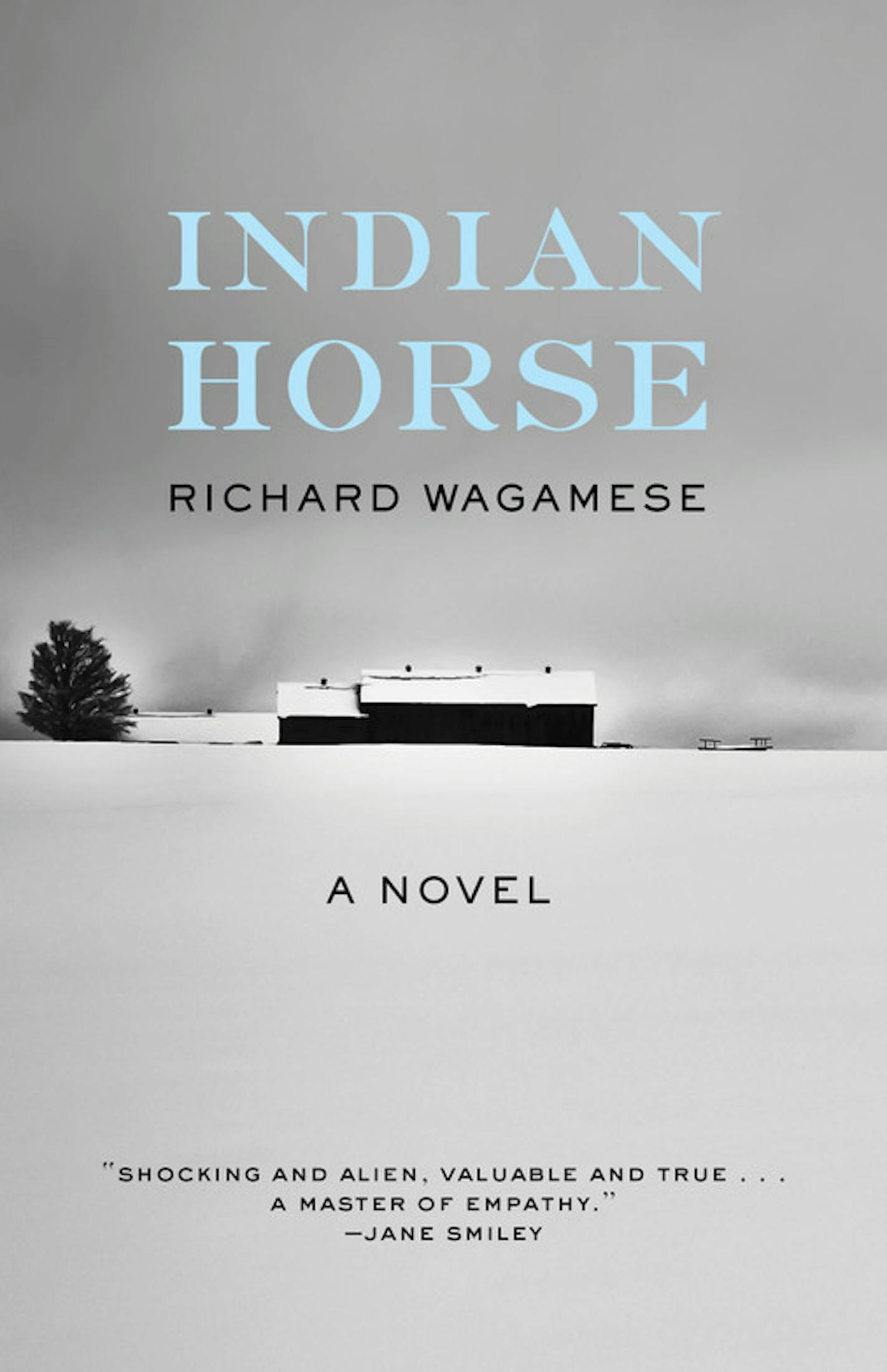 Indian Horse