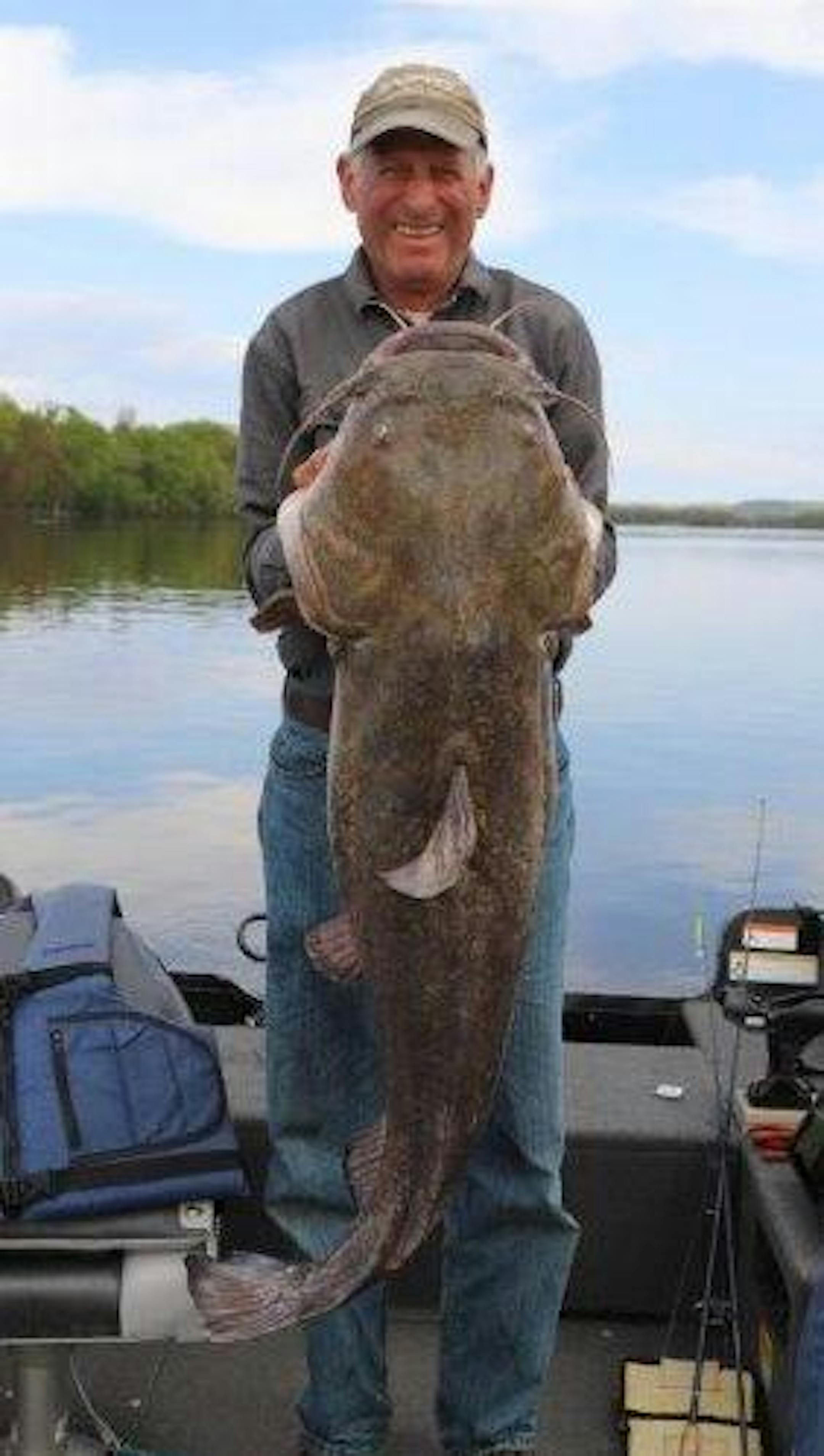 Steve Hirsch of Apple Valley caught this 45-inch flathead catfish on the Mississippi River near Red Wing.