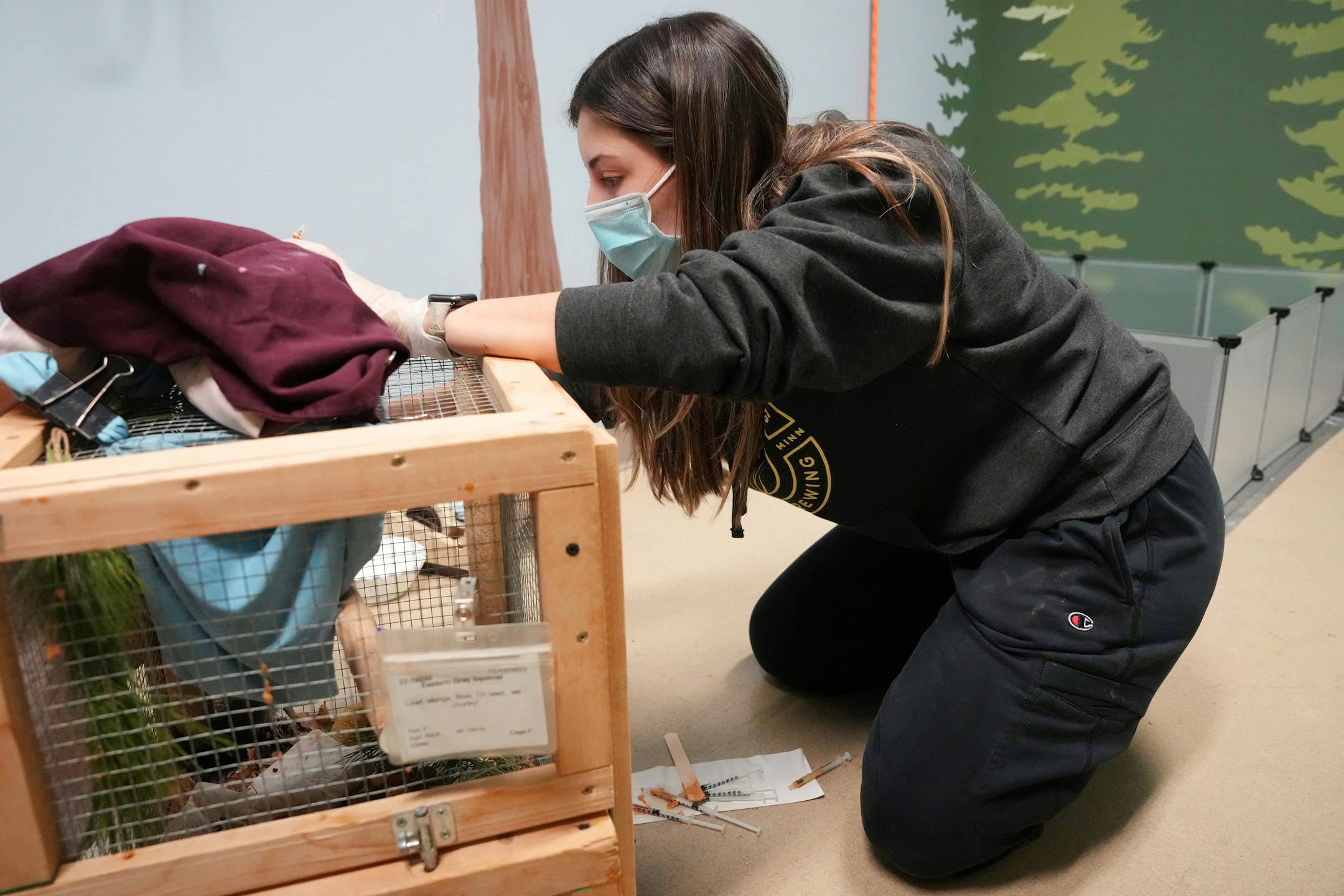 Jeniffer Ponce used a dropper to feed medicine to a squirrel with mange.
