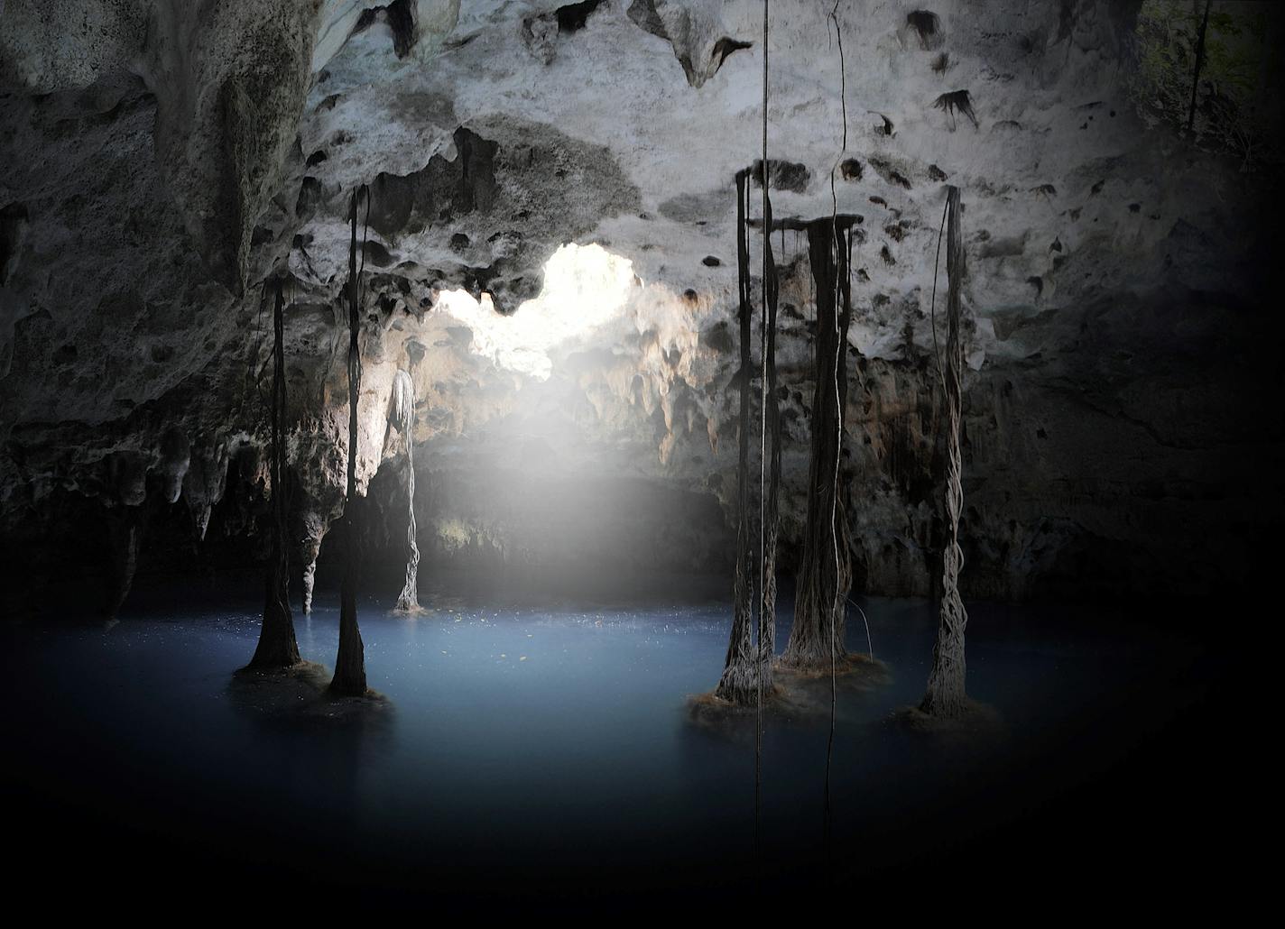 Sinuous Zapote tree roots hang down from the ceiling to the waterline in a cenote.