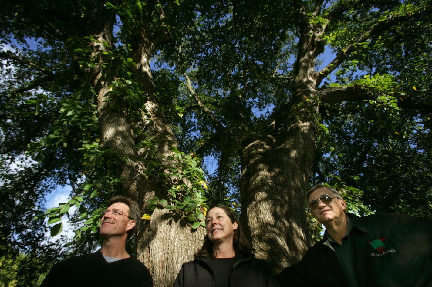 Joel Koyama/Star Tribune Chris Bliska, left, Tricia Bliska and plant pathologist/arborist Mark Stennes (now deceased), posed in front of the St. Croix em on the Bliskas' property in 2009.