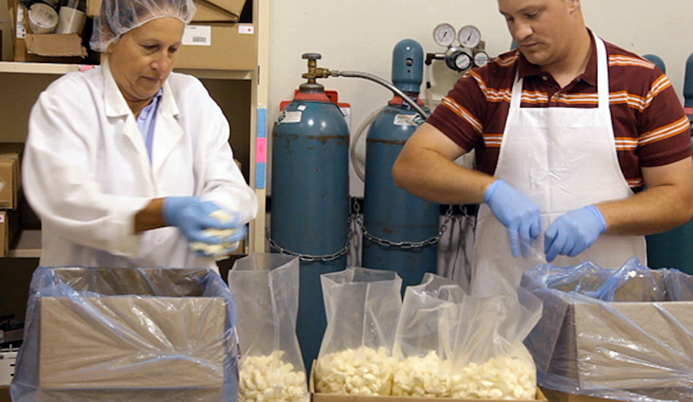 The cheese curds are divided into three shipping sizes. Forty-pound boxes are filled and prepared for shipping immediately after they come off the belt. Several of those boxes are taken into a seperate room where workers measure them off into five-pound bags, and the one-pound bags are packaged and sold in the on-site store. ] Leslye Davis � leslye.davis@startribune.com In the city of Ellsworth, WI, cheese curds are a point of pride celebrated in many ways including the Cheese Curd Festival in J