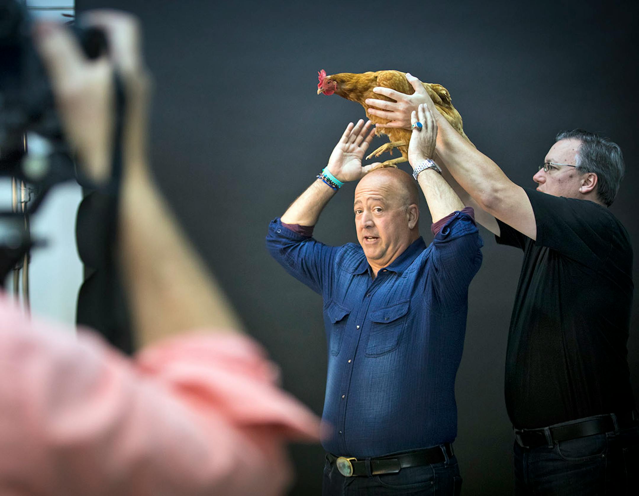 Steve Hoffman helped place "Strawberry" the hen on Andrew Zimmern's head for a photoshoot for a Midwest Living story at photographer Steve Henke's studio in Golden Valley, Minn., on Friday, May 26, 2017.