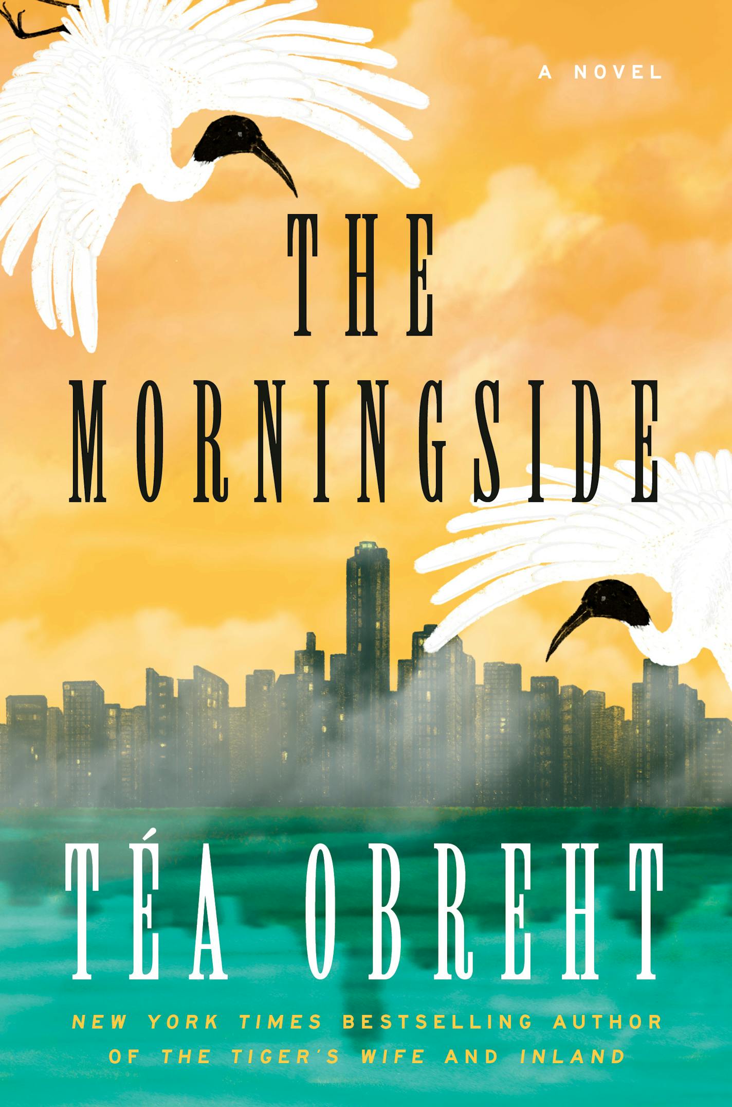 cover of novel "The Morningside"