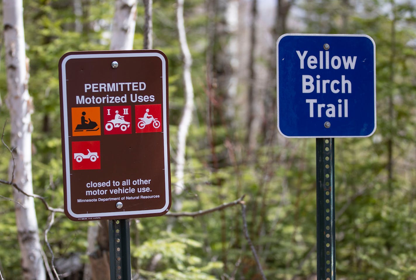 Yellow Birch Trail, a dirt trail for motorized vehicle use, was marked in the Nemadji Forest on Friday Sunday, May 7, 2021. ]