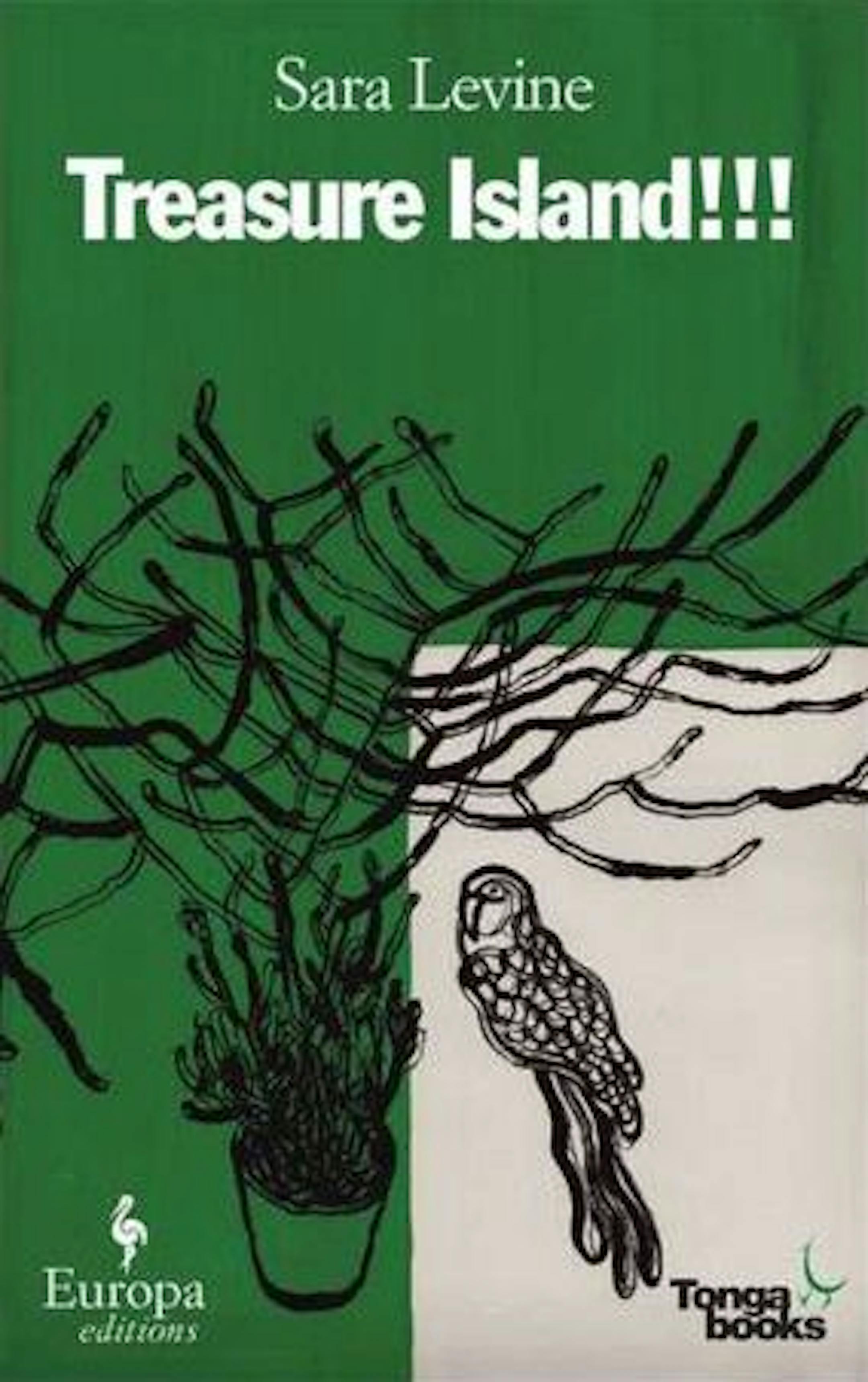 TREASURE ISLAND!!! By Sara Levine