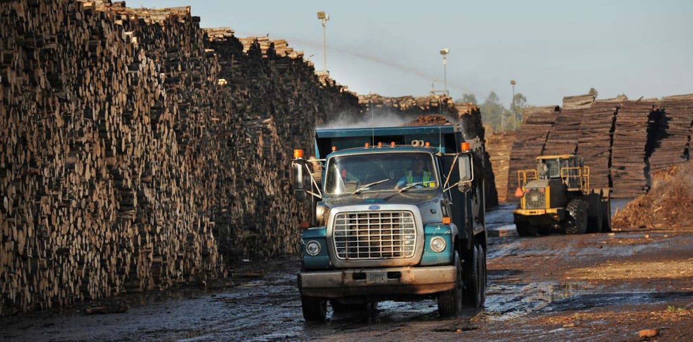 The main stack of timber at UPM Blandin Paper Mill in Grand Rapids feeds the paper mill.