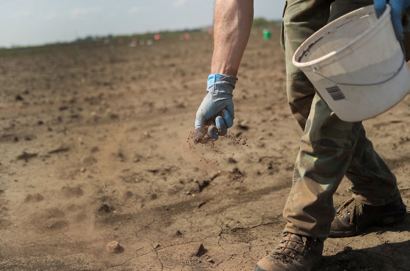 The ash leftover from incinerated human waste is spread by hand onto plots of land by U of M researcher Jim Crants. Corn and soybeans will grow in the area to research the affects the human fertilizer has on growth. ] Shari L. Gross &#xef; sgross@startribune.com Researchers at the U of M are experimenting with the ash that results with the solids from wastewater are incinerated at the Met Council's massive Metropolitan Plant. Today that ash, rich in phosphorous is landfilled. But some wonder if