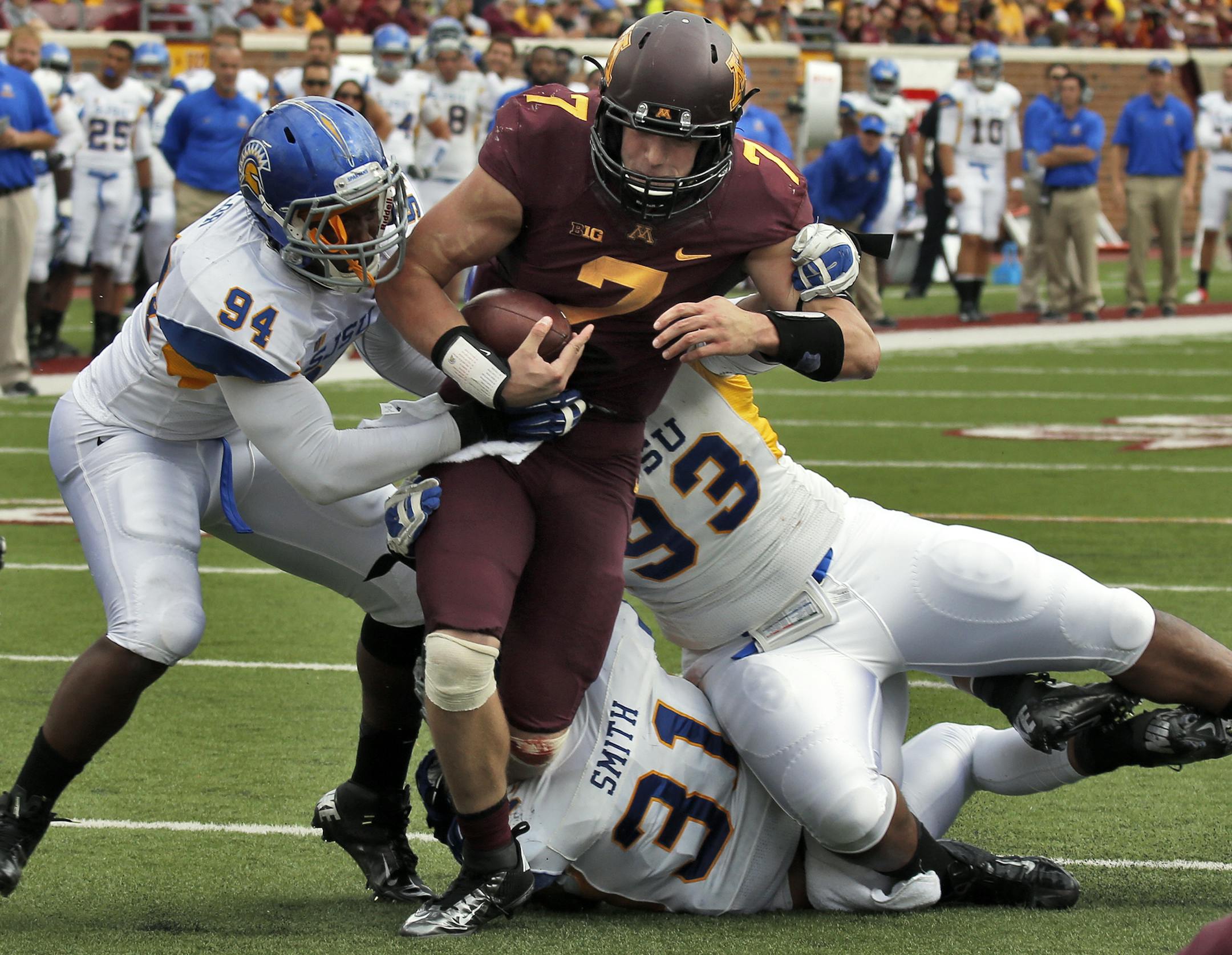 Minnesota Gophers vs. Western Illinois Leathernecks football. (MARLIN LEVISON/STARTRIBUNE(mlevison@startribune.com)Minnesota Gophers vs.San Jose State football. Minnesota won 43-24. Minnesota quarterback Mitch Leidner had four rushing touchdown in the game with 151 yards gained running. Leidner dragged San jose State tacklers with him as he picked up some of his 151-yards russhing in the game. (MARLIN LEVISON/STARTRIBUNE(mlevison@startribune.com)