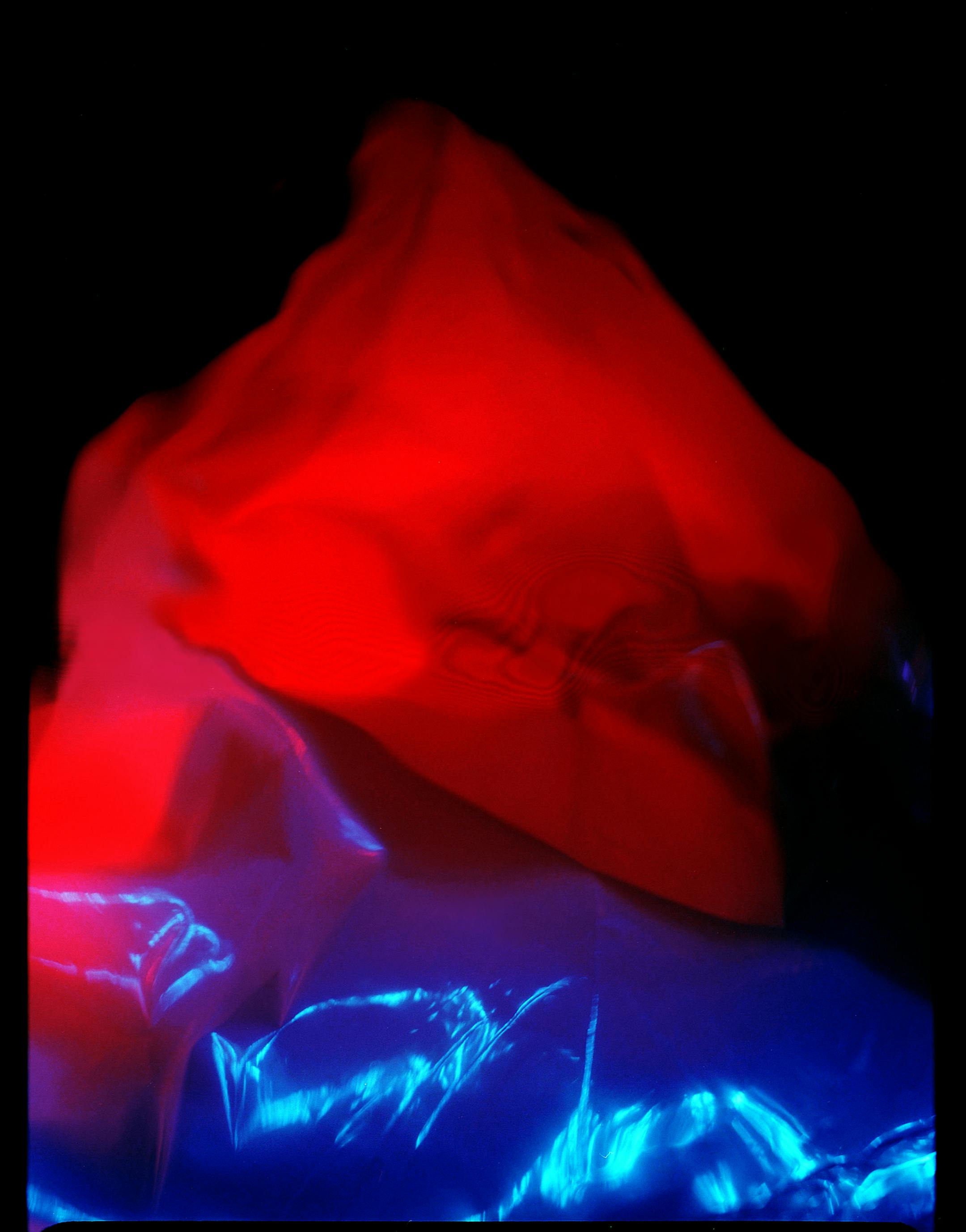 "Expedition" by Izzy Commers