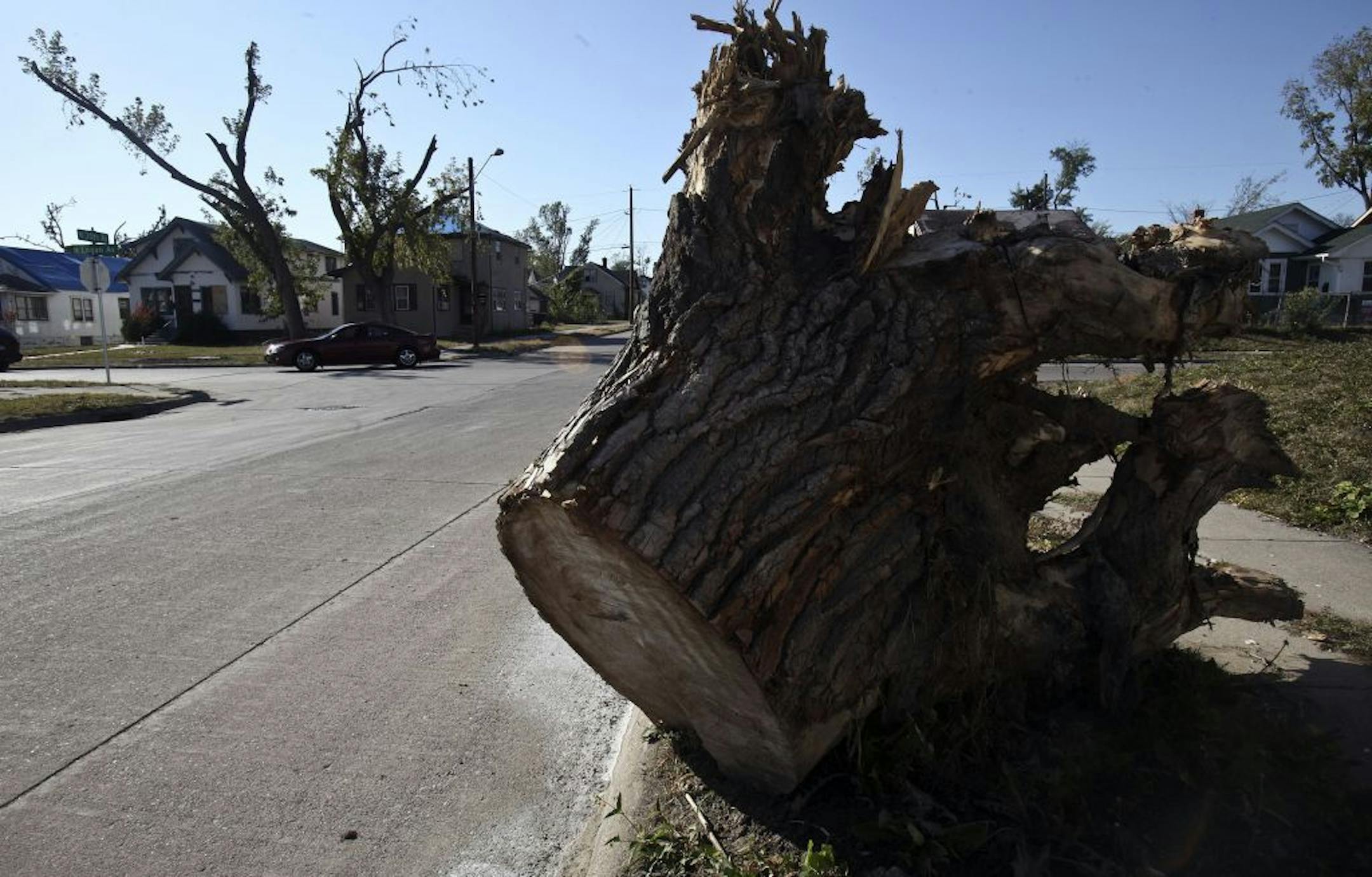 Stump left from the tornado that hit North Minneapolis in 2011.