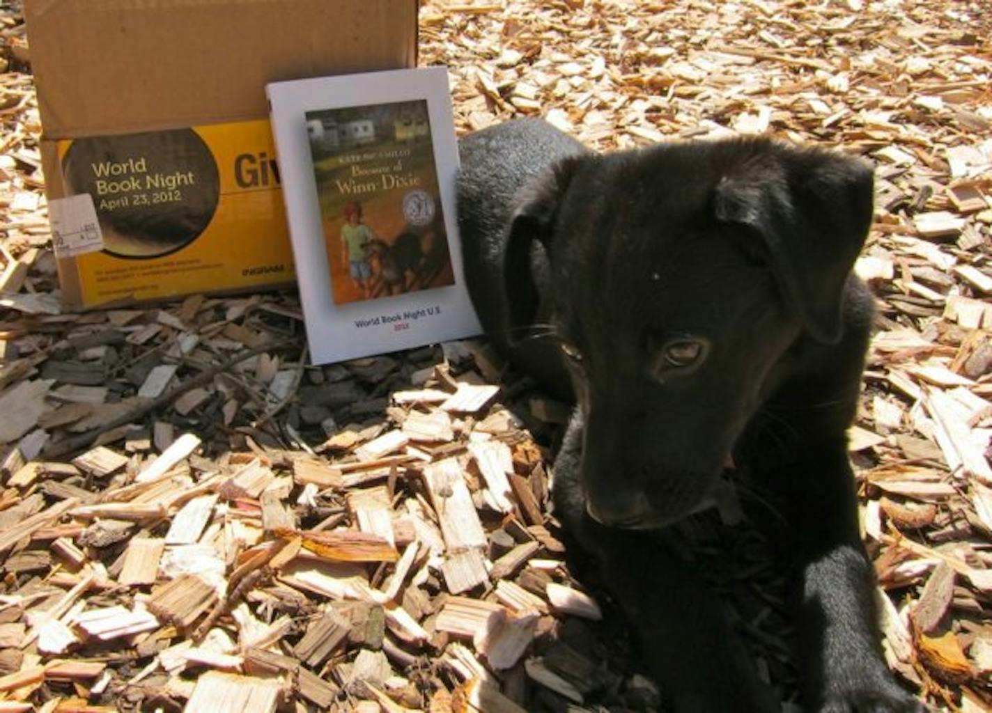 Rosie the puppy was a great prop for giving away "Because of Winn-Dixie."