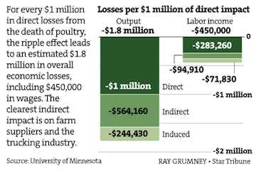 Spreading pain from bird flu outbreaks