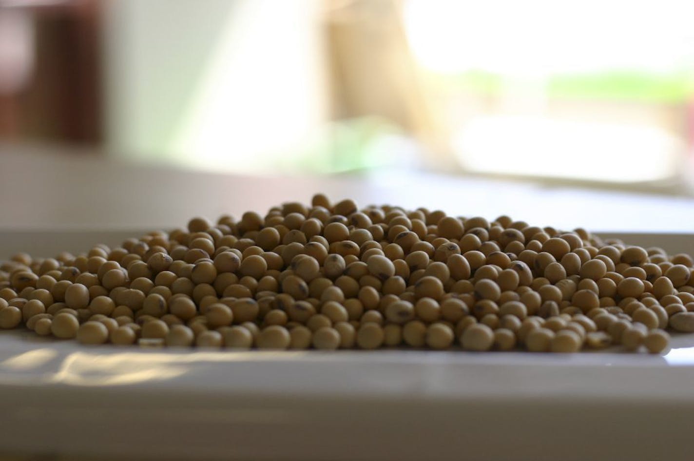 A pile of soybeans.