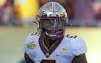 Minnesota wide receiver Tyler Johnson during the second half of the Outback Bowl NCAA college football game against Auburn Wednesday, Jan. 1, 2020, in