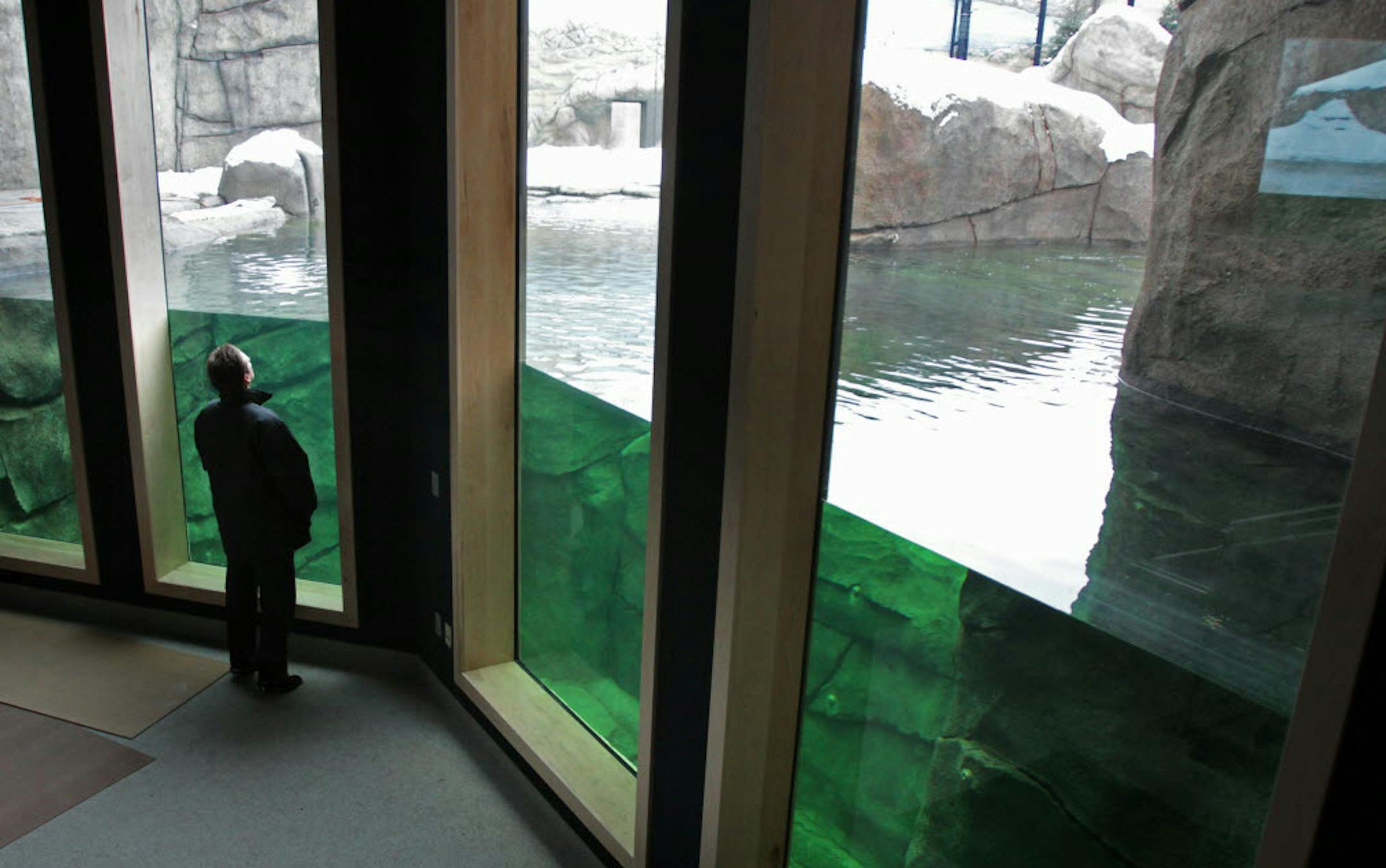 Matt Reinartz of the Como Zoo stood in what will be the viewing area for the deep pool of the new Polar Bear Odyssey exhibit.