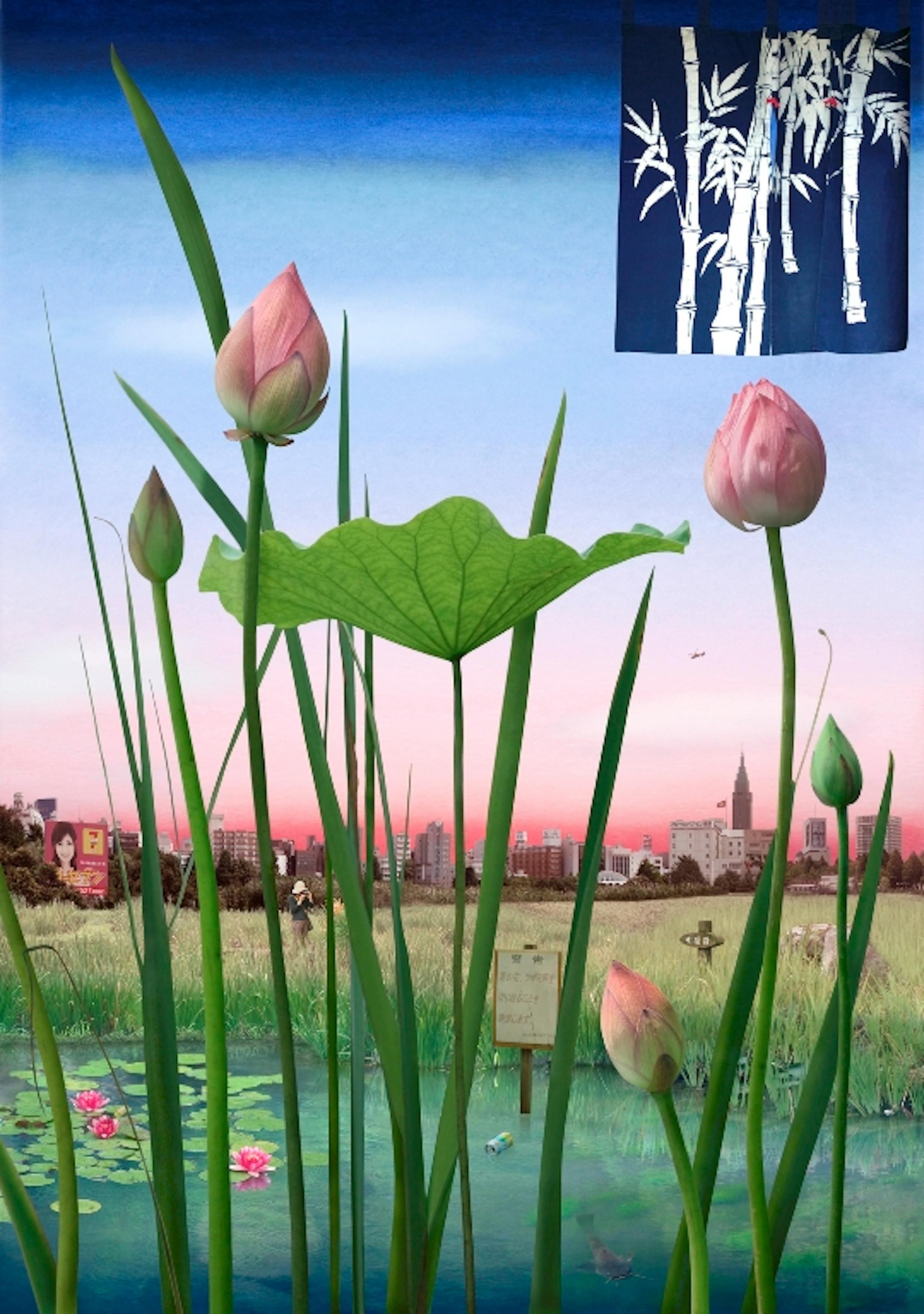 Emily Allchurch used a transparency and light box to create "Tokyo Story 1: Lotus Garden (After Hiroshige)," recently acquired by the Minneapolis Institute of Arts.