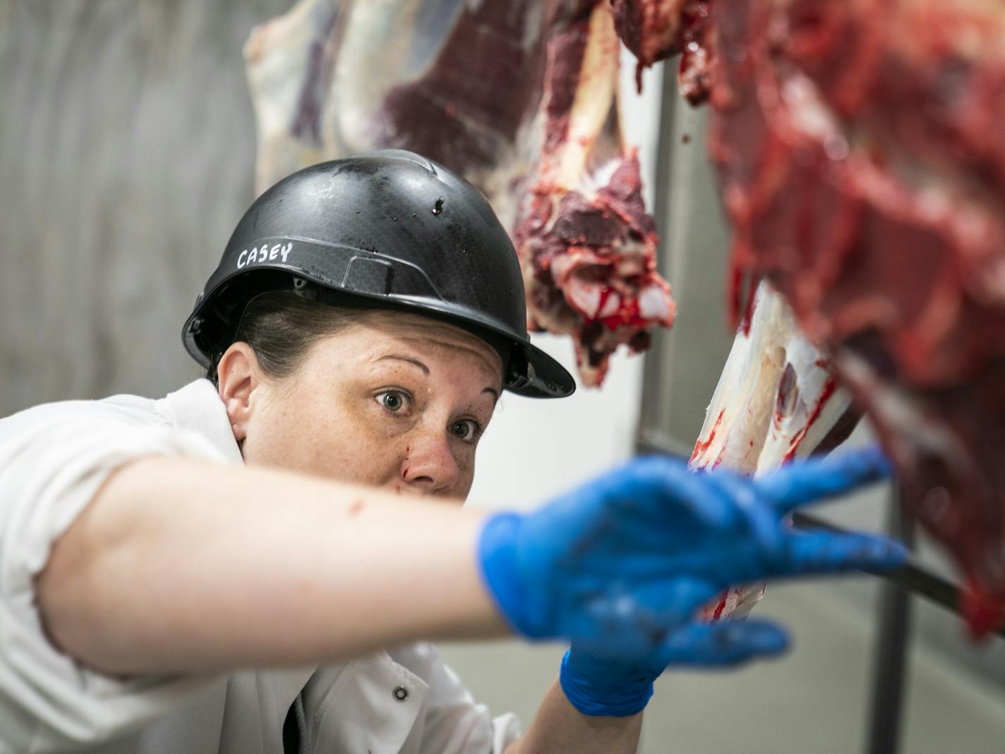 Quality technician Casey Preston-Scott inspected organic beef at Lorentz Meats. ] LEILA NAVIDI &#x2022; leila.navidi@startribune.com BACKGROUND INFORMATION: Meat being processed at Lorentz Meats in Cannon Falls on Wednesday, November 20, 2019.