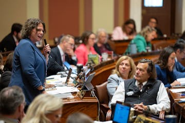 Rep. Cheryl Youakim, DFL-Hopkins, chief author of the K-12 education finance and policy bill, urges members to vote for it moments before the House pa