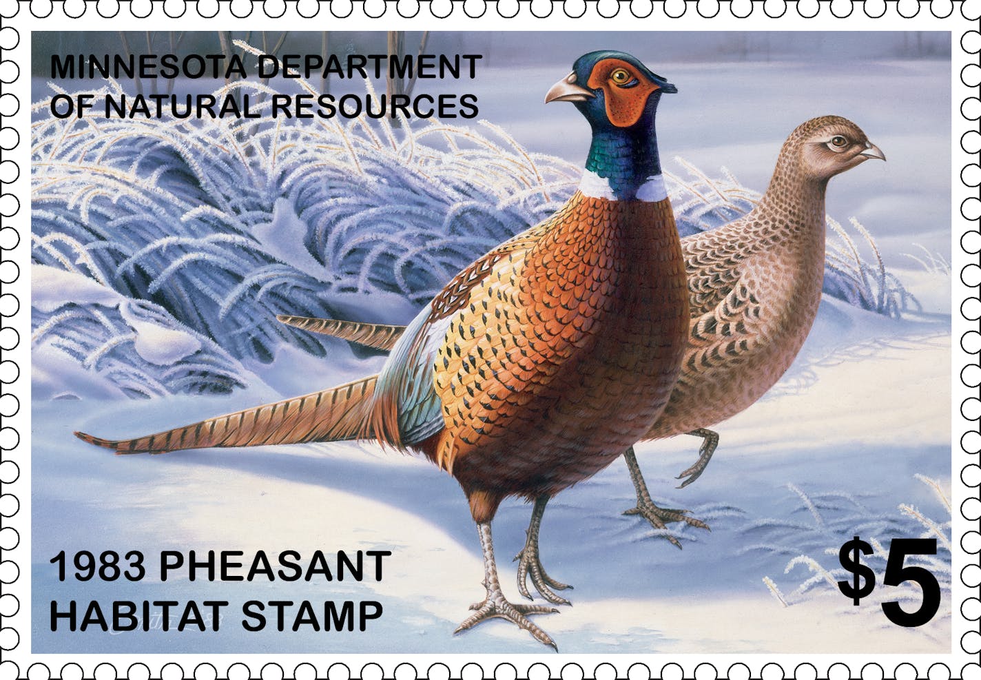 1983: the first pheasant stamp