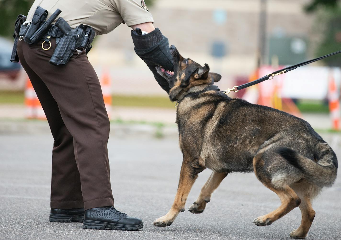 An officer does a demonstration with a dog.