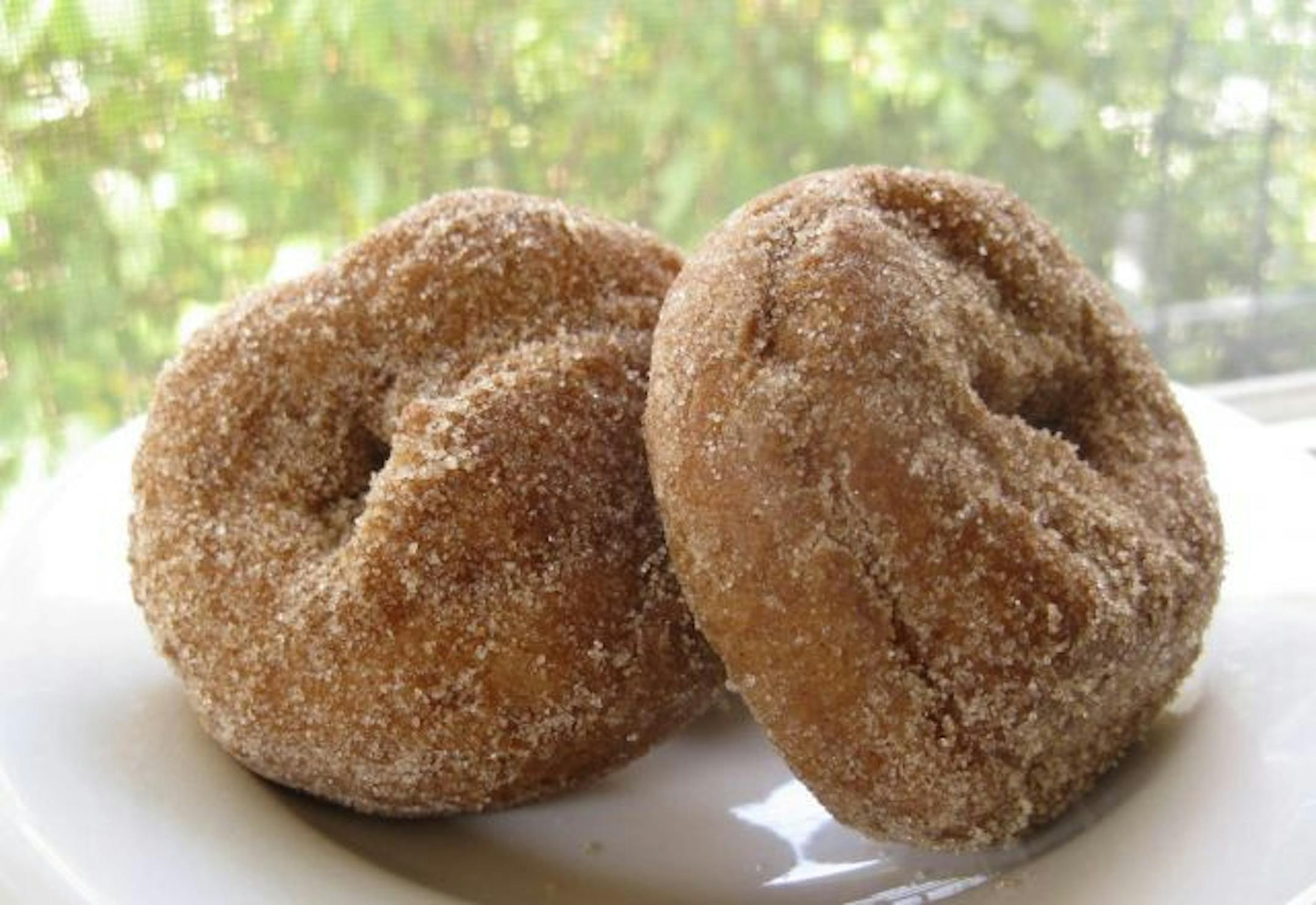 Apple cider doughnuts from Sweetland Orchard at the Northeast Minneapolis Farmers Market