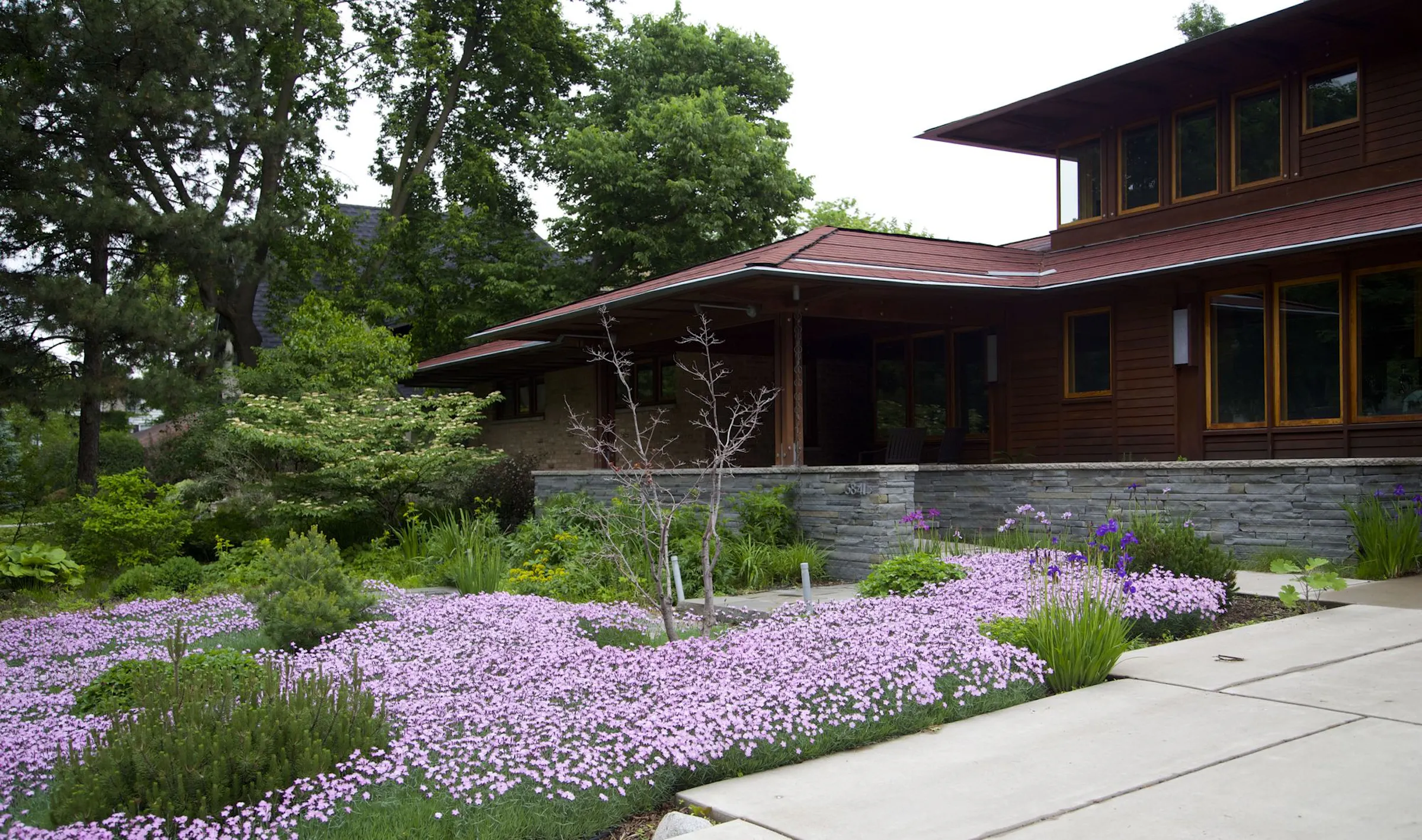 Tired of mowing? Rethink the lawn with these turf-grass alternatives