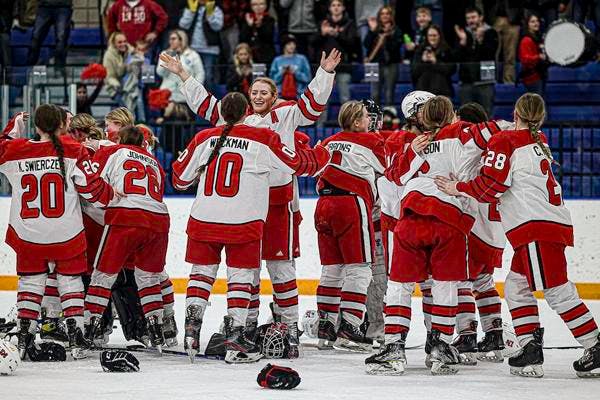 Lakeville North girls win Class 2A, Section 1 hockey title over Northfield