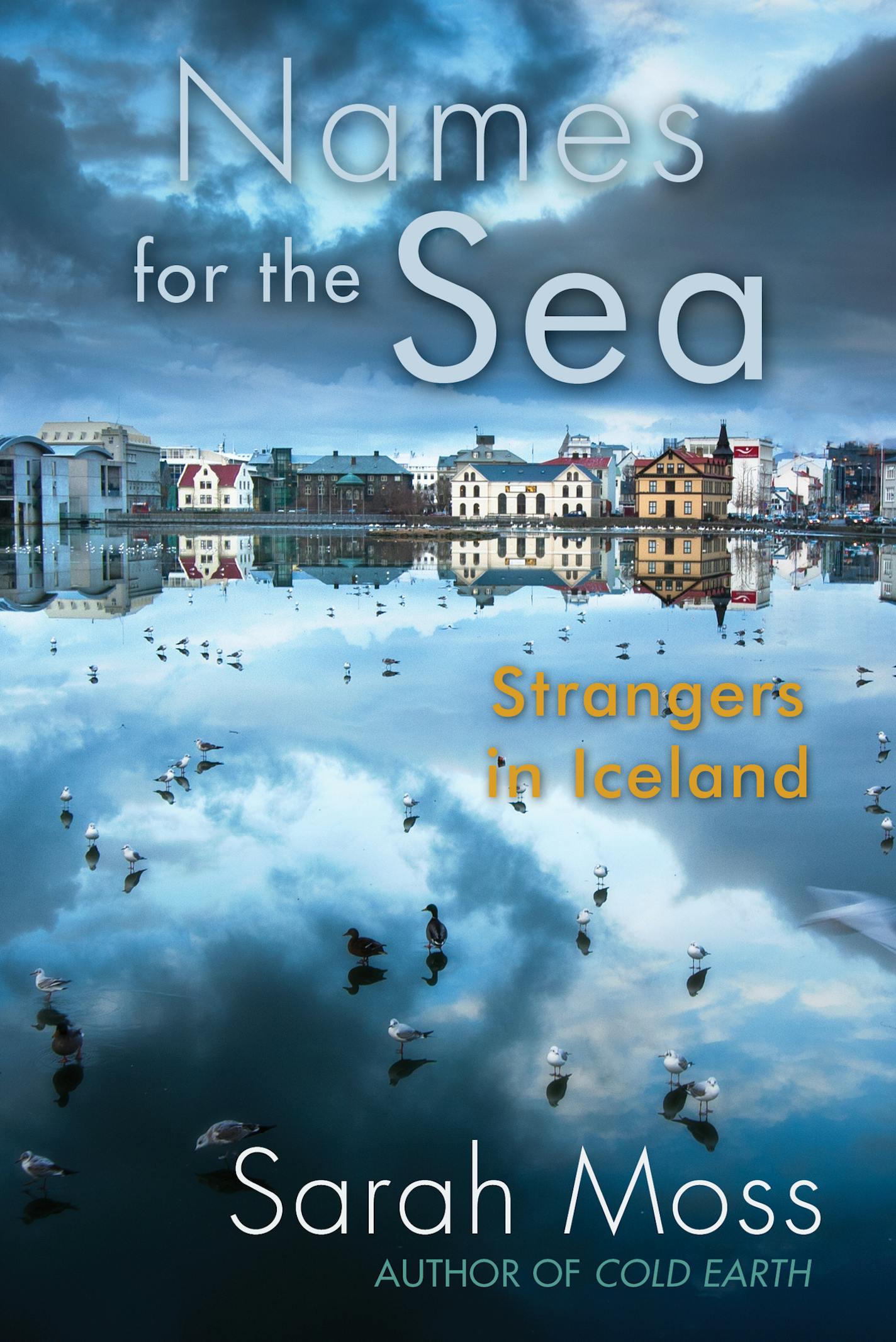 "Names for the Sea: Strangers in Iceland," by Sarah Moss.