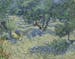 This photo provided by The Nelson-Atkins Museum of Art in Kansas City, Mo., shows Vincent van Gogh's painting "Olive Trees." A small grasshopper has b