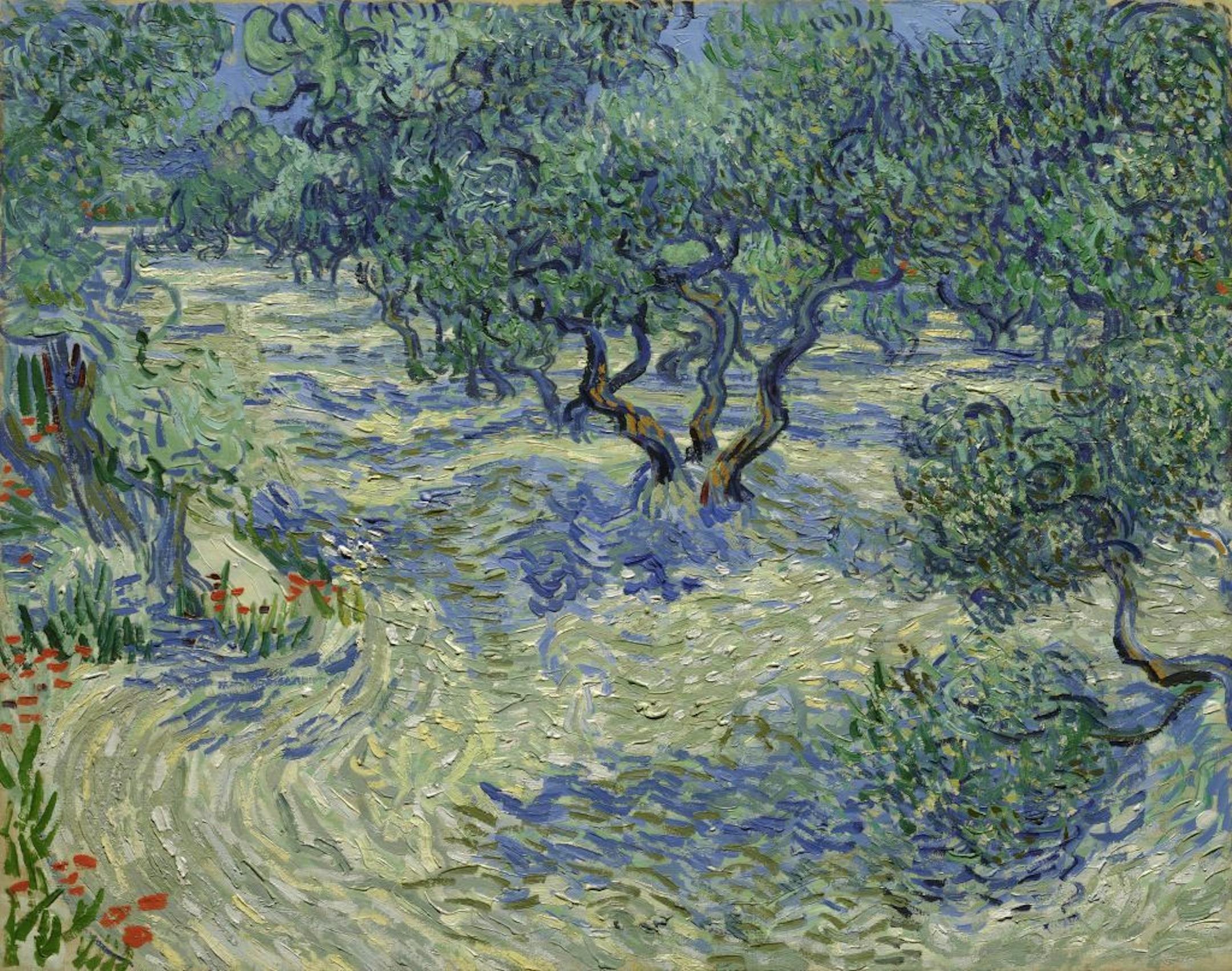 This photo provided by The Nelson-Atkins Museum of Art in Kansas City, Mo., shows Vincent van Gogh's painting "Olive Trees." A small grasshopper has been found embedded in the thick paint in the lower foreground of the painting. Paintings Conservator Mary Schafer made the grasshopper discovery while examining the painting under magnification. The bug isn't visible through casual observation.