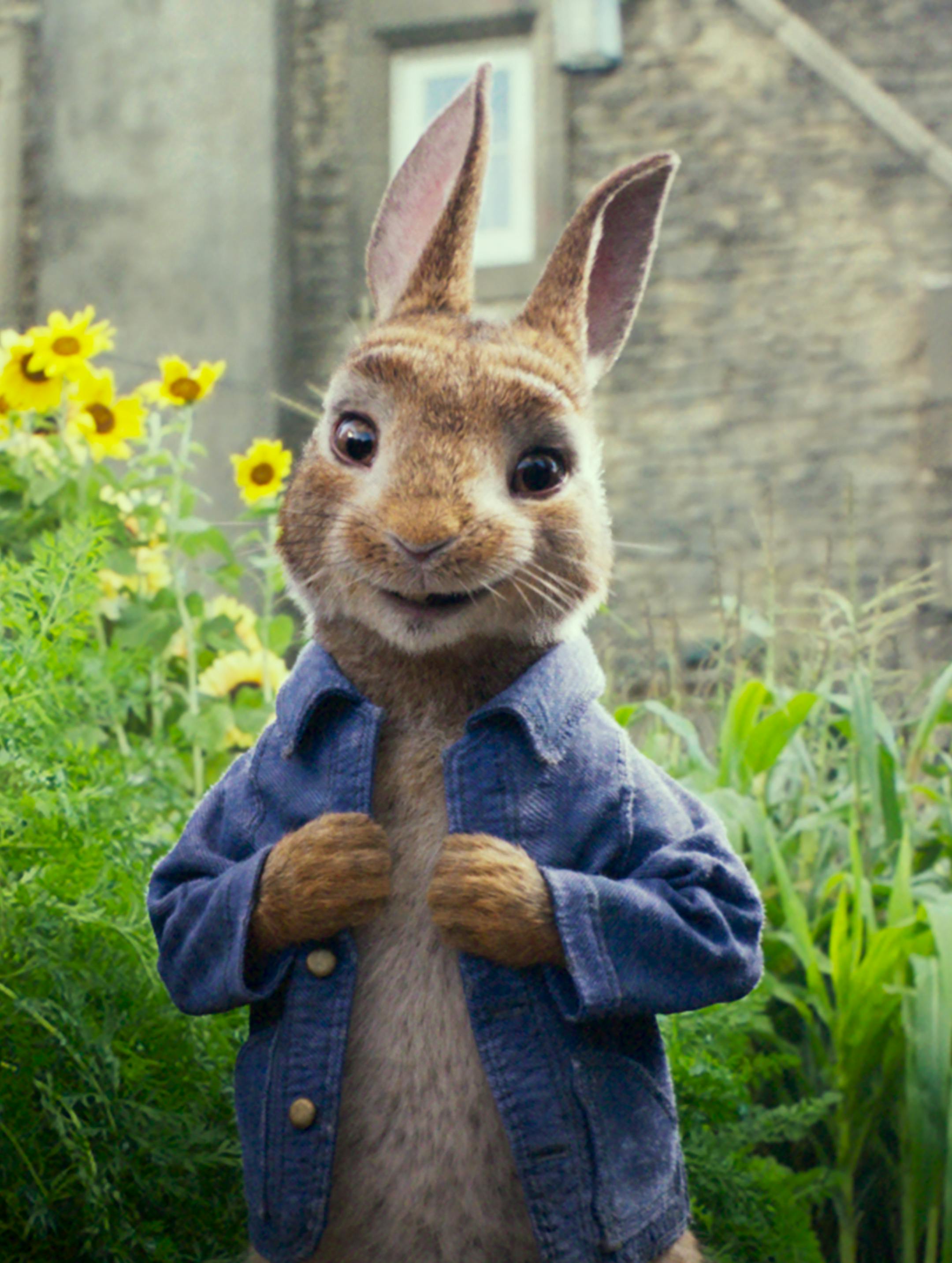 Peter Rabbit (James Corden) in Columbia Pictures' PETER RABBIT.