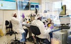 Boston Scientific medical stents were cleaned and tested in a final inspection in April in a clean room in Boston Scientific's new 78,000-square-foot 