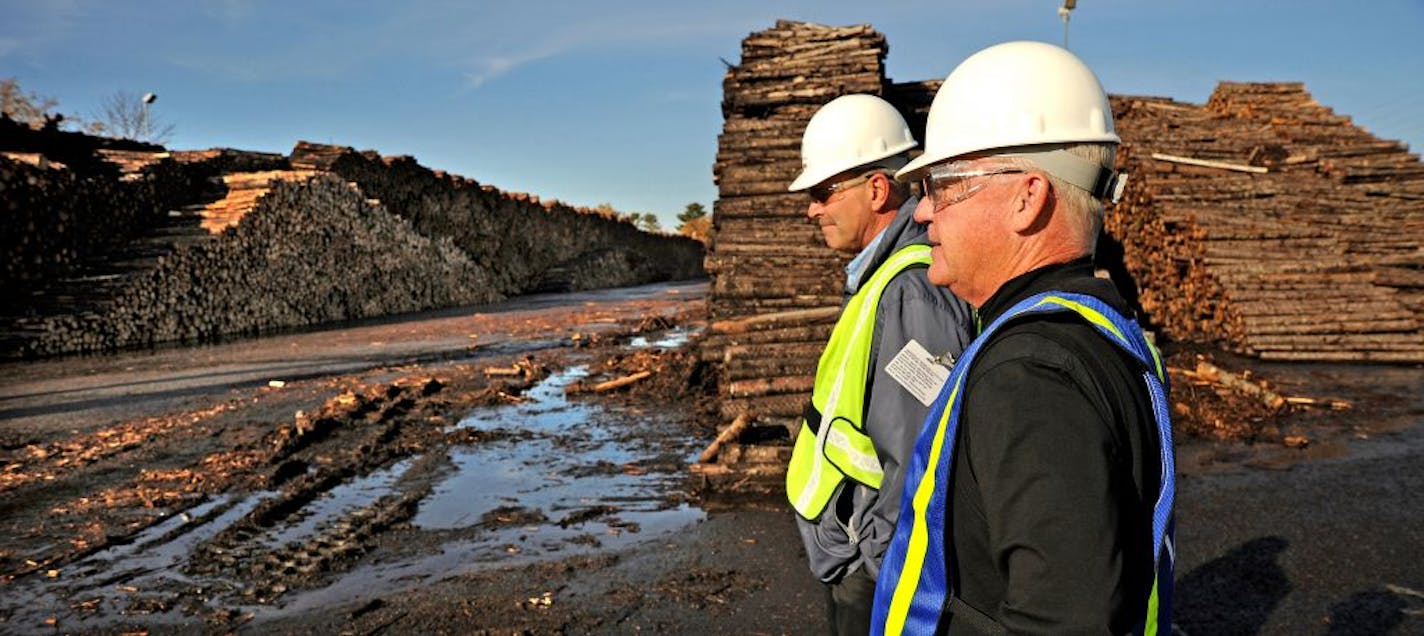 James Kent Business Controller at UPM Blandin on the left and Wayne Brandt of Minnesota Forest Industries tour the stacks of logs that become paper in the UPM Blandin Paper Mill in Grand Rapids .