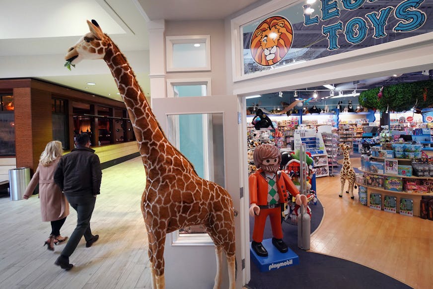 Legacy Toys in the Galleria Mall in Edina, greets shoppers with an 8 foot tall giraffe. ]
brian.peterson@startribune.com
Minneapolis, MN
Edina, November 6, 2019