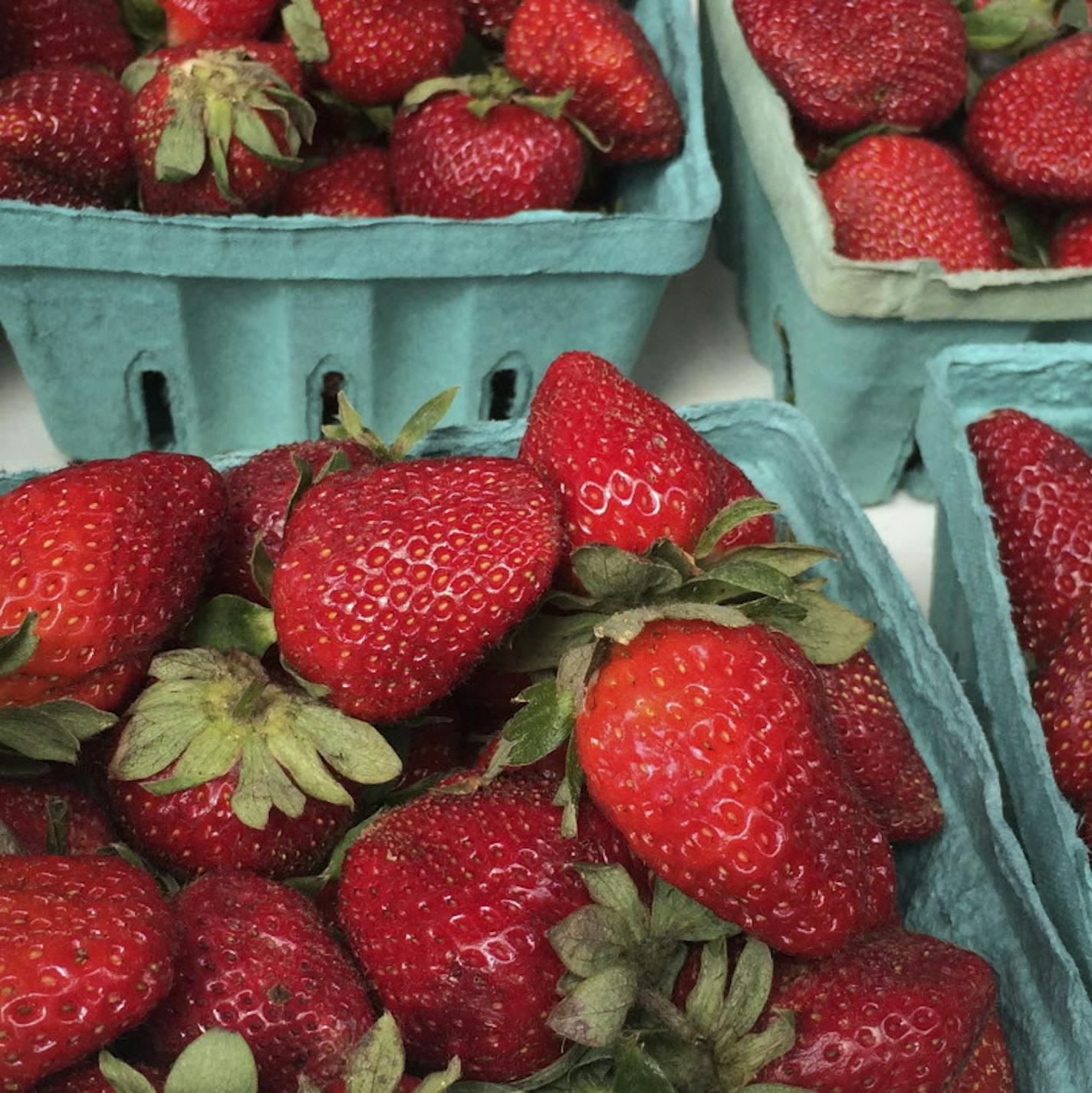 Fresh organic strawberries for sale at the Farmers Market on Marion Square in Charleston&#x2019;s historic district. Located on a grassy park in the city&#x2019;s historic district, the market is a popular spot on weekends for a stroll and a snack. Photo by Rochelle Olson