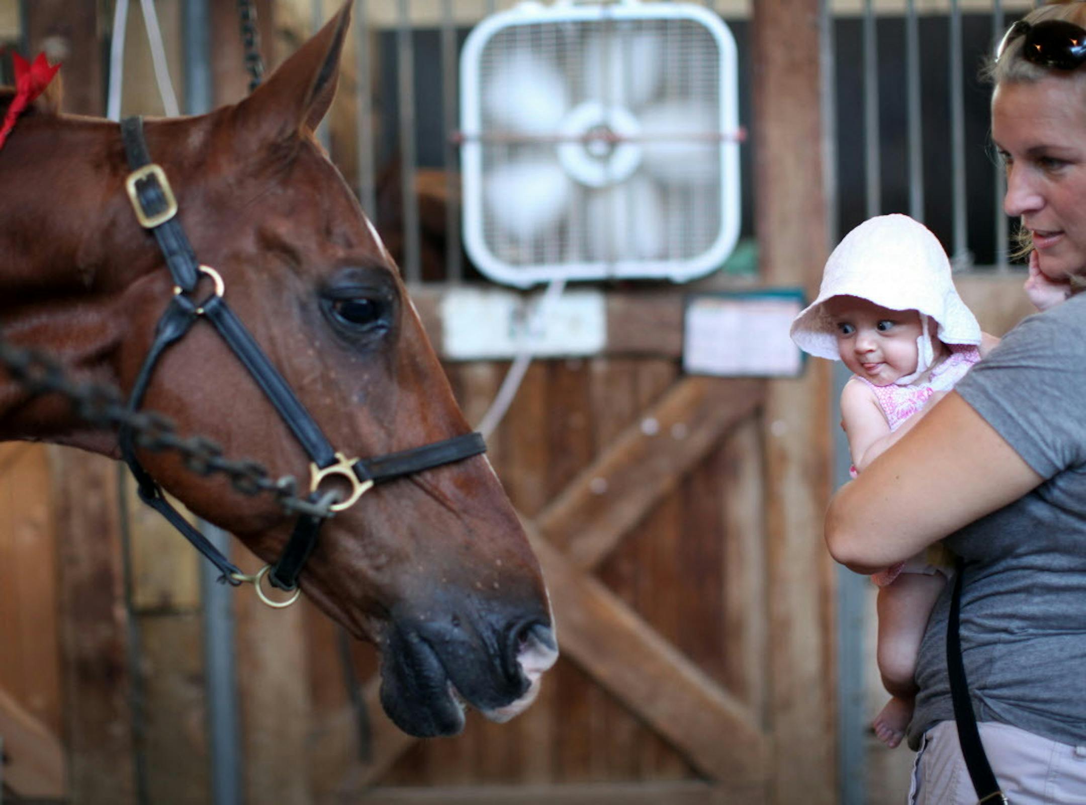 One youngster got her first up-close view of a horse during the 2011 Minnesota State Fair.