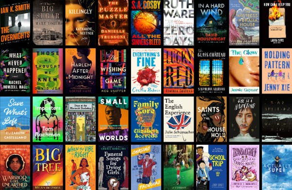 Looking for a great summer read? 36 novels, thrillers and young adult books