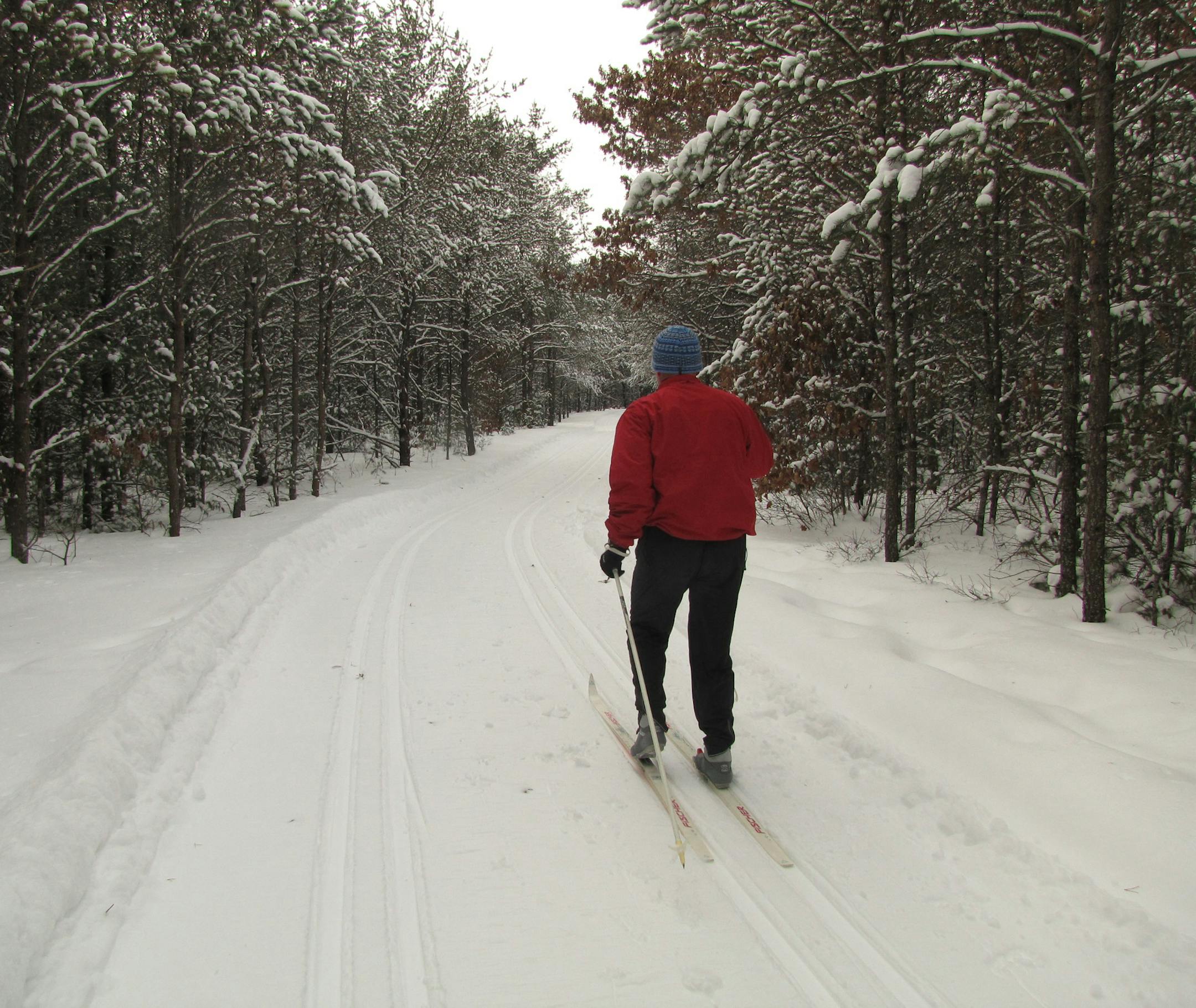 Stevens Point, Wis., offers Nordic skiiers miles and miles of groomed trails, many of which wind through scenic forests and along the Plover and Wisconsin Rivers. (Melanie Radzicki McManus, Special to the Star Tribune)