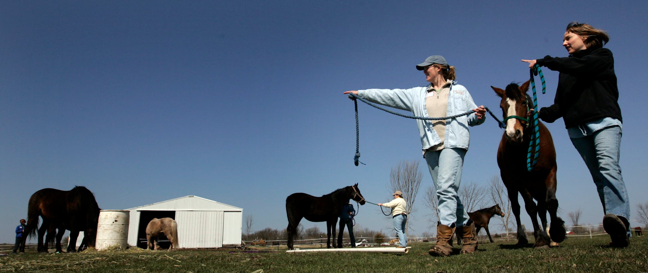 (l to r) Heather Jeffrey of Big Lake and Krista Dorgan of Afton, worked on an exercise with a horse at Acres for Life Ranch in Chisago Township.
