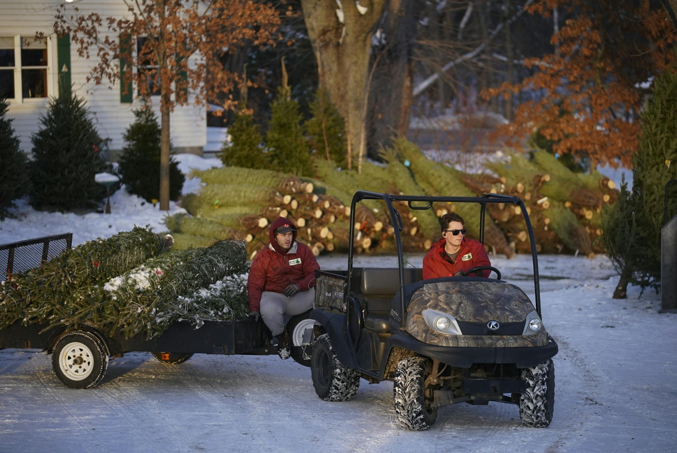 Logan Schilling, 17, and the third generation of the Kreuger family to work the Christmas tree farm, with Toby Weiss on the trailer, brought a load of fresh trees to restock the pre-cut lot at Krueger's Christmas Tree Farm Tuesday afternoon.