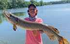 Hugh Nugent, 13, of Minneapolis, caught this 40-inch northern on Cedar Lake by rigging dead sucker minnows on the bottom. Nugent added that he fought 