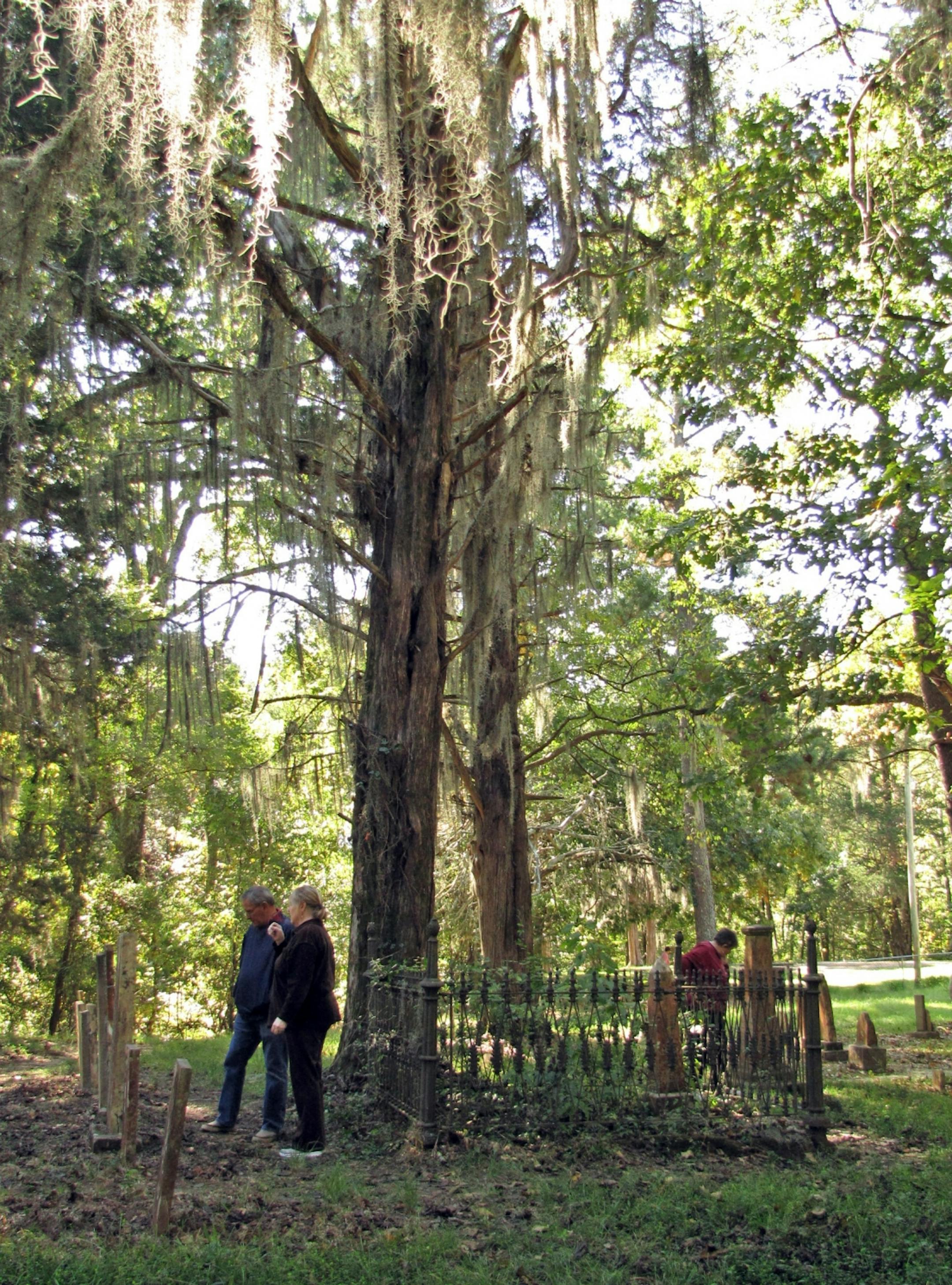 Rocky Springs was a once-thriving town along the Trace. Today it's a popular stop along the way. Visitors can walk through remnants of the town, which include a fairly intact cemetery.